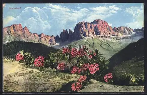 AK Berglandschaft mit Steinrösel