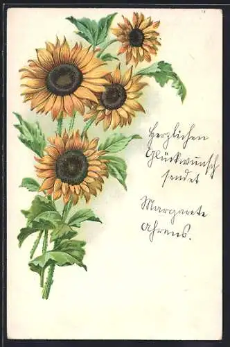 AK Sonnenblumen mit Blättern