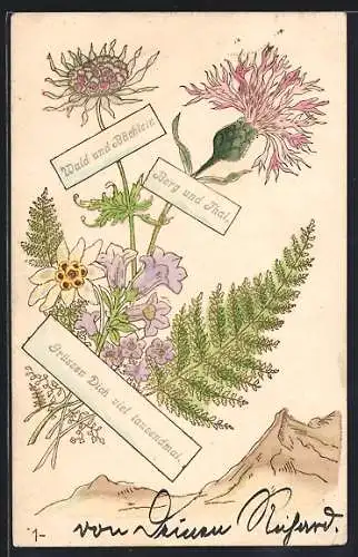 AK Grüsse mit Edelweiss, Disteln und Farn