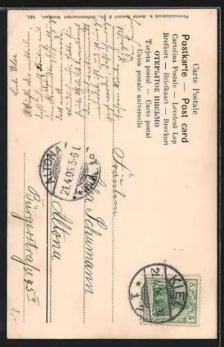 AK Schöne Krokusse in gelb und lila blühend