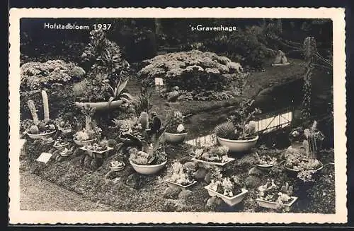 AK `s-Gravenhage, Hofstadbloem 1937