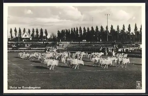 AK Berlin, Ballet im Terrassengarten