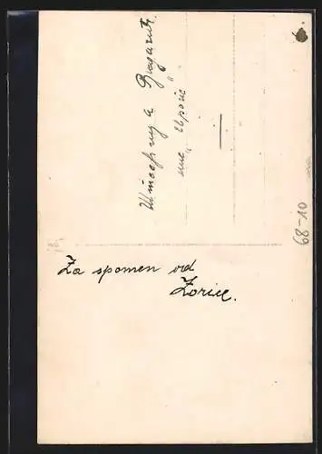 AK Stefica Vidacic, Miss Europa, Schönheitskönigin