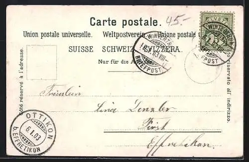 AK Wiesendangen, Strassenpartie mit Brücke, Ochsengespann, Teilansicht aus der Vogelschau