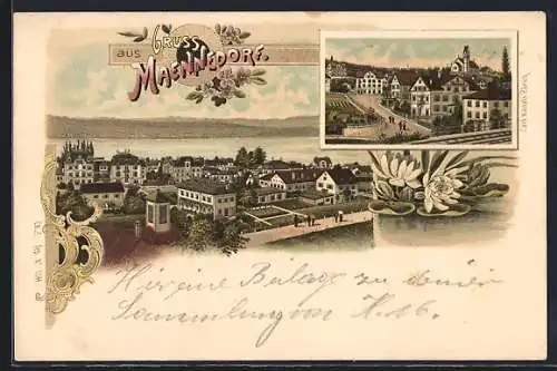 Lithographie Maennedorf, Gesamtansicht