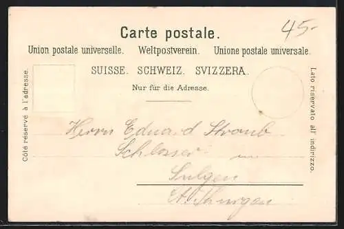 Lithographie Maennedorf, Gesamtansicht