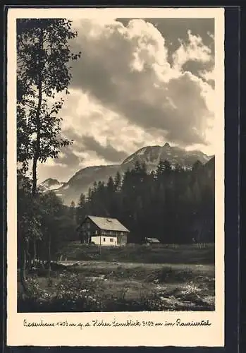 AK Rauris, Alpengasthof Badenhaus g. d. Sonnblick im Raurisertal