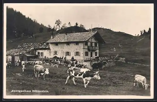 AK Rinderherde am Alpengasthaus Höhlenstein