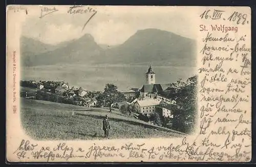 AK St. Wolfgang, Partie auf dem Felde mit Blick auf die Stadt