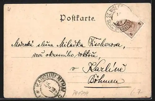AK St. Wolfgang, Partie auf dem Felde mit Blick auf die Stadt