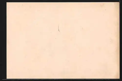 AK Salzburg, Parsch, Gärtnerei Rauschhofer, Gärtner