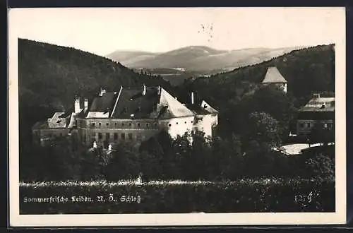 AK Leiben /N.-Ö., Blick auf das Schloss