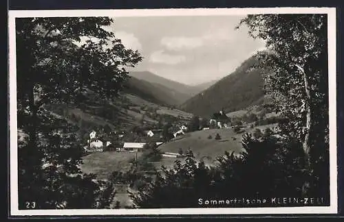 AK Kleinzell /N.-Oe., Ortsansicht