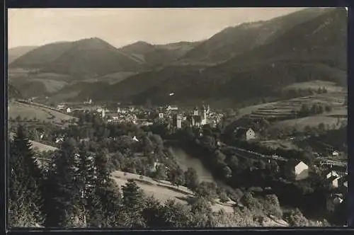 AK Waidhofen a. d. Ybbs, Totalansicht mit Flusspartie