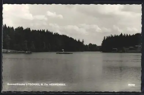 AK Litschau /N.-Oe., Blick über den Herrensee