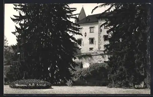 AK Maissau /N.-Ö., Schloss mit Anlagen