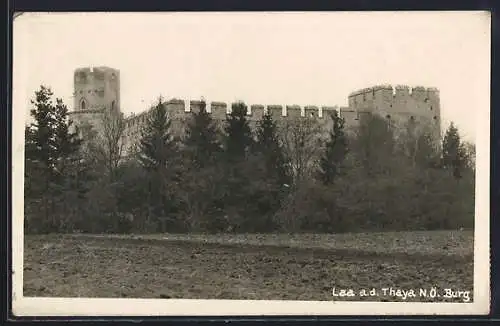 AK Laa a. d. Thaya, Blick auf die Burg