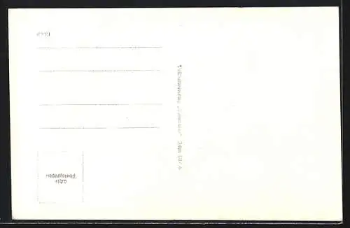 AK Pöchlarn a. d. D., Panorama mit Donaupartie