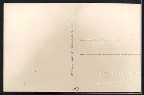 AK Heidenreichstein /N. Ö., Ortsansicht aus der Ferne