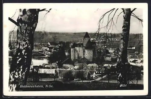 AK Heidenreichstein /N. Oe., Teilansicht mit Burg