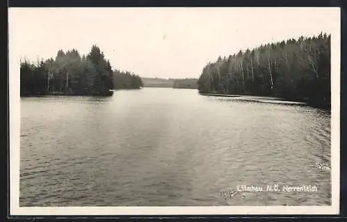 AK Litschau /N. Ö., Blick auf den Herrenteich