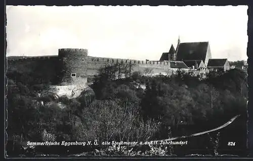 AK Eggenburg /N. Ö., Blick auf die alte Stadtmauer