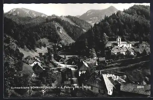 AK Schwarzenbach a. d. Pielach, Ortsansicht im Bergidyll