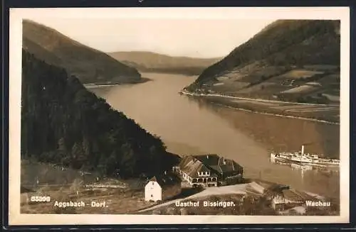 AK Aggsbach Dorf, Gasthof Bissinger, Donaupartie mit Dampfer