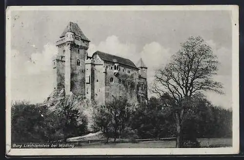 AK Mödling, Die Burg Liechtenstein