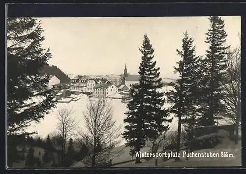 AK Puchenstuben, Ortsansicht im Winter