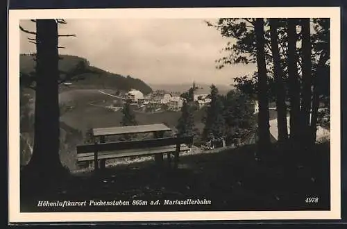 AK Puchenstuben a. d. Mariazellerbahn, Ortsansicht vom Aussichtspunkt aus