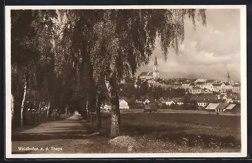 AK Waidhofen a. d. Thaya, Teilansicht mit Kirche