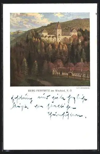 AK Feistritz, Blick auf die Burg Feistritz a. Wechsel