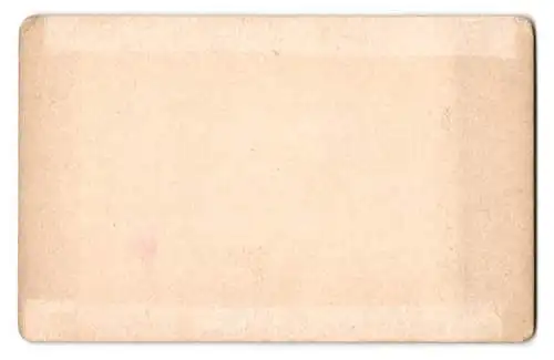 Fotografie J. F. Stiehm, Berlin, Ansicht Berlin, Unter den Linden, Blick zum Reiterstandbild Friedrich der Grosse