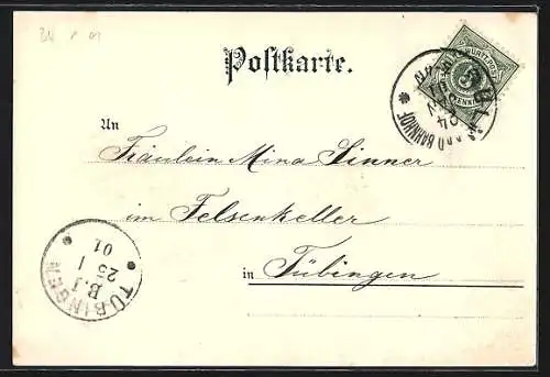 Lithographie Ulm / Donau, Münster im Stadtbild, Gedicht