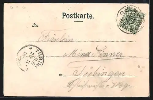 Lithographie Ulm / Donau, Totalansicht, Münster, Saalbau, Rathaus, Metzgerturm, Rosafarbene Blumen, um 1900