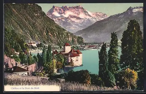 AK Chillon, Vue générale et la Dent du Midi