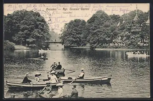 AK Dresden, Ruderboote im Kgl. Grossen Garten, auf dem Carolasee