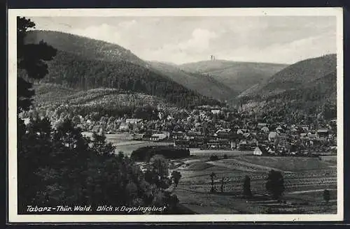 AK Tabarz /Thür. Wald, Blick v. Deysingslust