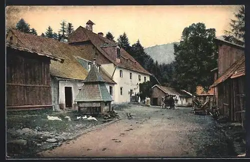 AK Waldhaus b. Zwiesel /Bayer. Wald, Strassenpartie mit Gasthaus und Pferdewagen