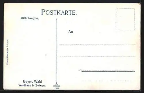 AK Waldhaus b. Zwiesel /Bayer. Wald, Strassenpartie mit Gasthaus und Pferdewagen
