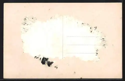 AK Feldberg i. T., Brunhildfelsen mit altem Feldberghaus