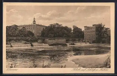 AK Dessau, Blick auf Schloss & Mühle