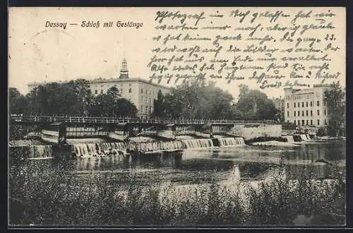 AK Dessau, Schloss mit Gestänge