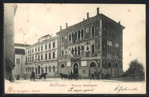 AK Belluno, Palazzo Municipale