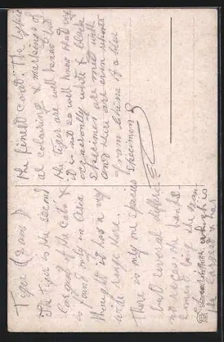 Künstler-AK Kairo, Abend bei der Citadelle