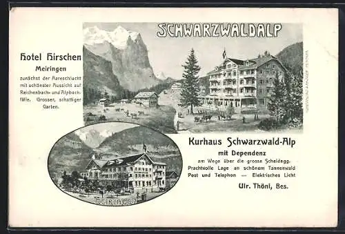 AK Meiringen, Hotel Hirschen und Kurhaus Schwarzwald Alp, Bes. Ulr. Thöni