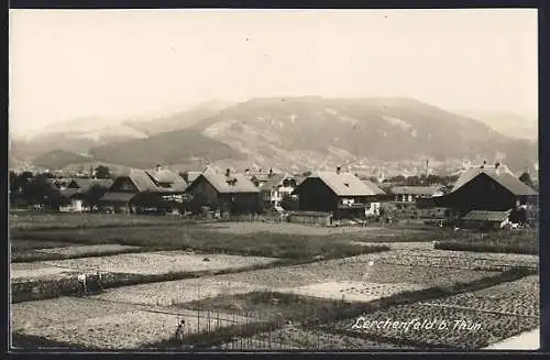 AK Thun, Totalansicht mit Gebirgswand