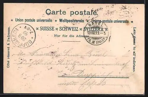 Lithographie Basel, Wettsteinbrücke, Denkmal der Stadt Strassburg