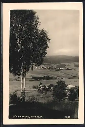 AK Ulrichsberg, Panorama